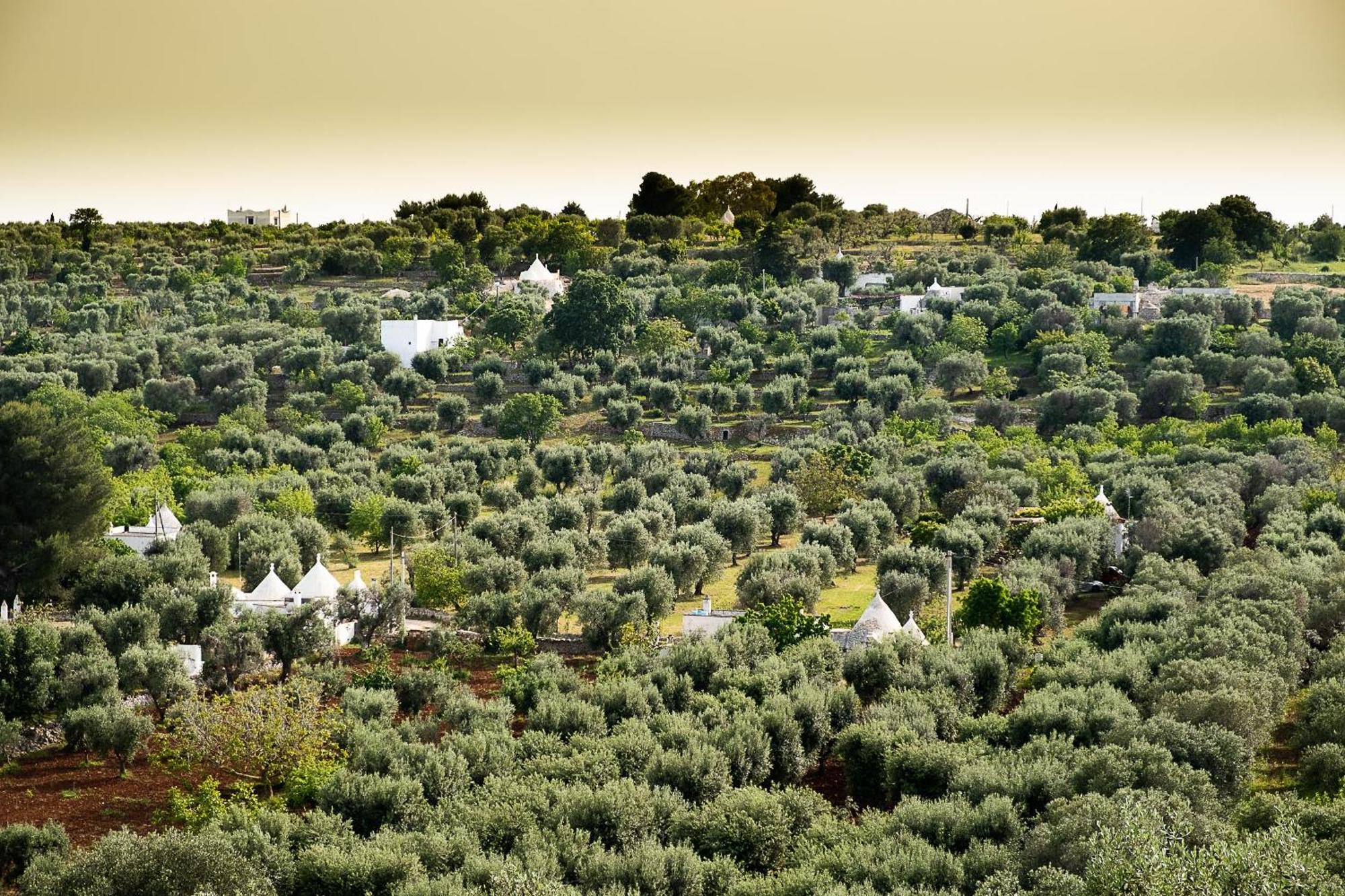 Villetta Da Zio Marcello Ostuni Exterior foto